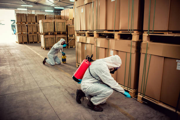 Trusted Napa, CA Pest Control Experts