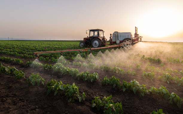 Best Pest Removal Services  in Napa, CA